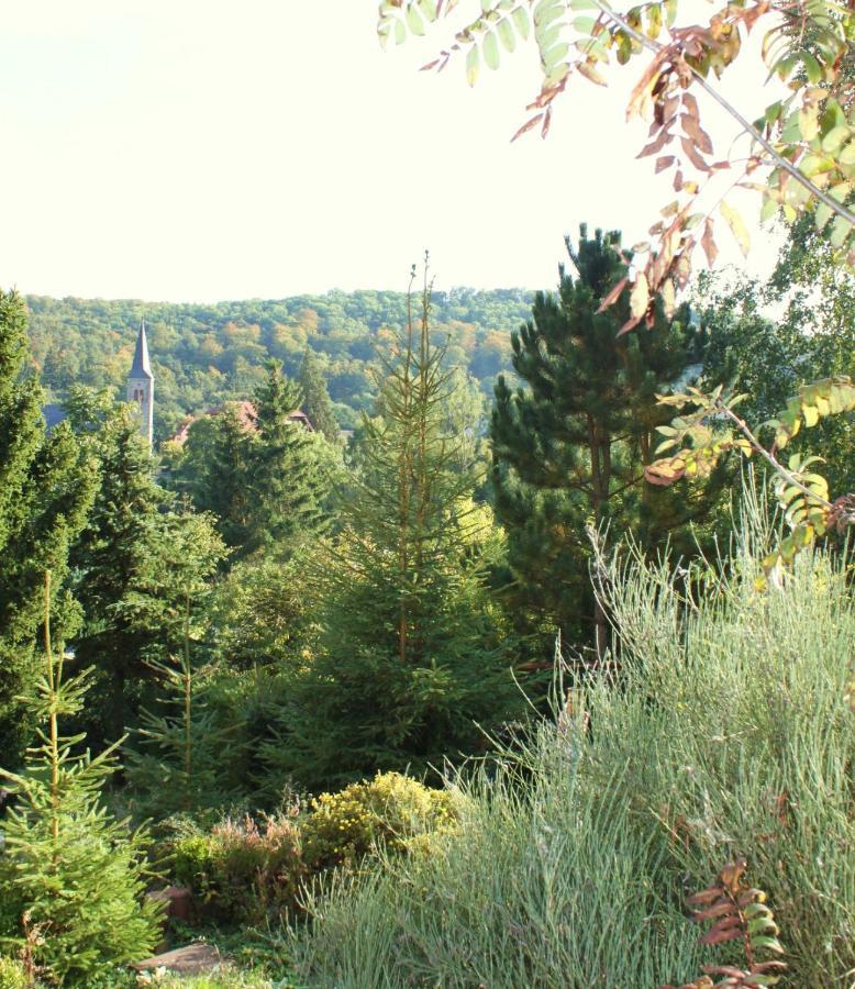 Güntersberge Ferienhaus Harzblick מראה חיצוני תמונה