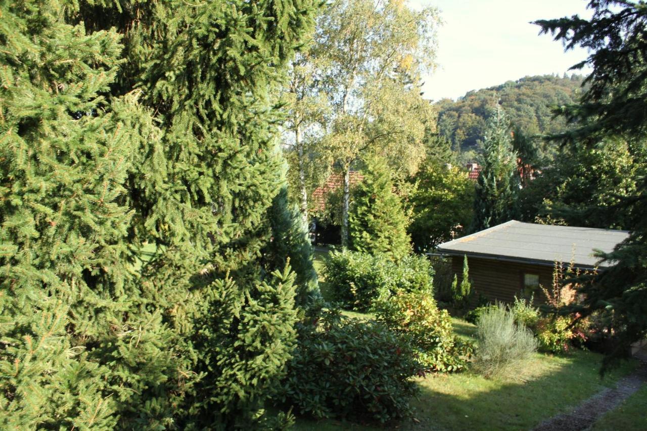 Güntersberge Ferienhaus Harzblick מראה חיצוני תמונה